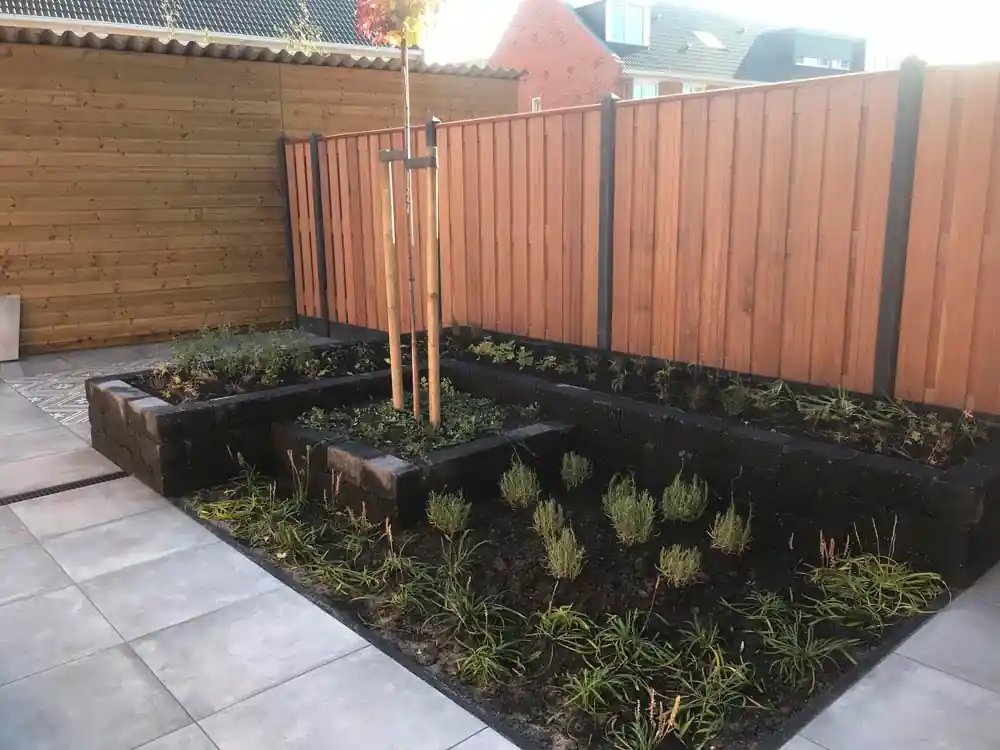 Verhoogde border van zwarte stapelblokken met lavendel, siergrassen en een jonge boom op boompalen, tegen een hardhouten schutting