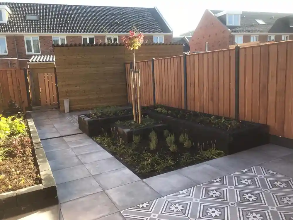Verhoogde border met lavendel en siergrassen voor een houten bergingswand, met een jonge sierboom en een terras met patroontegels rechts