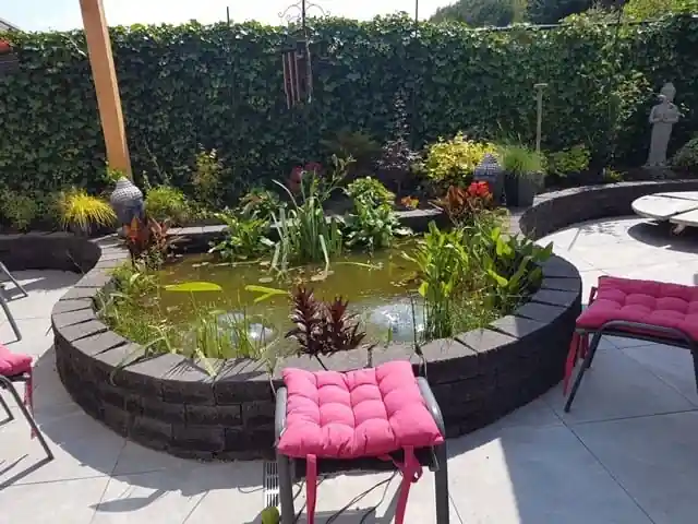 Verhoogde vijver omrand met zwarte stapelblokken, gevuld met riet, waterlelies en andere waterplanten, met siergrassen en tuinbeelden langs de klimopwand