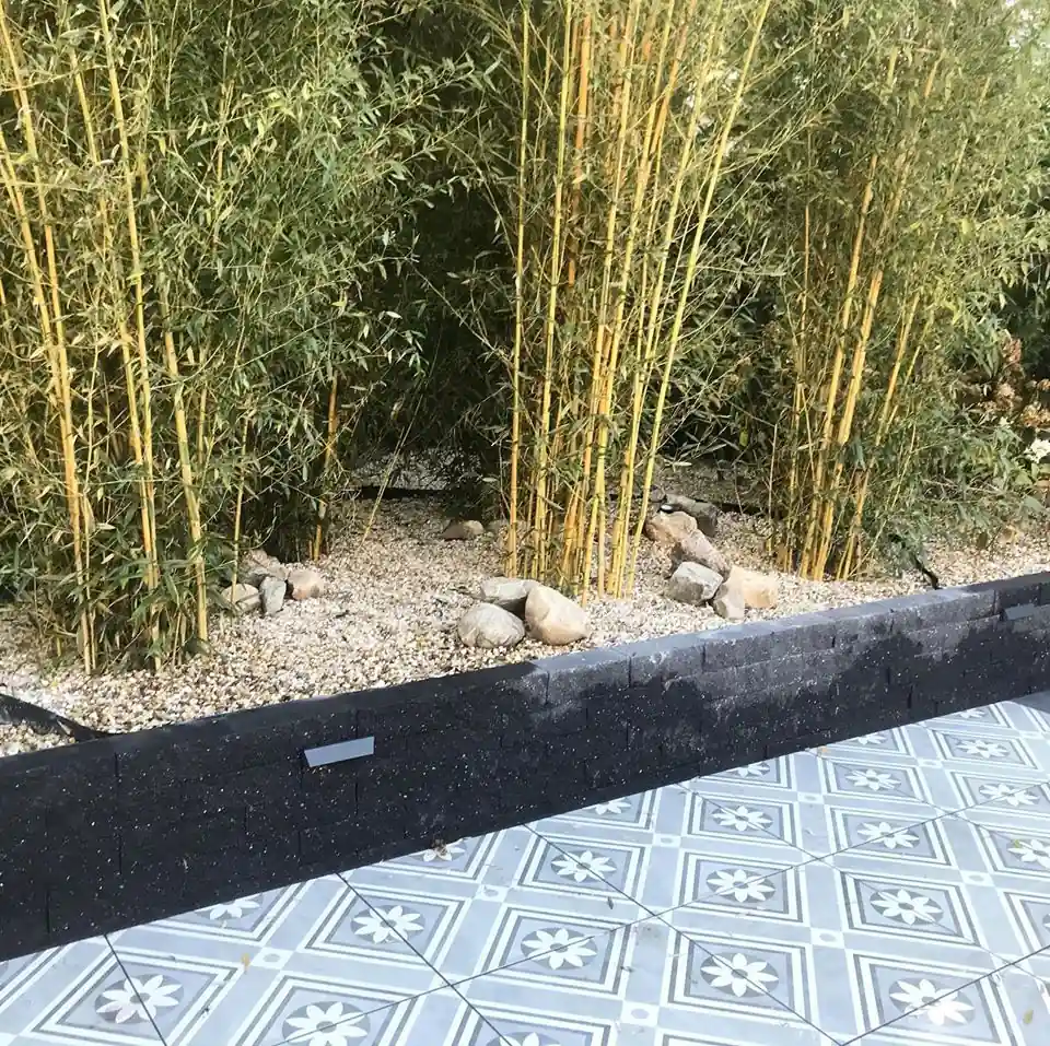 Hoge bamboe met gele stengels in een bed van licht siergrind met zwerfkeien, achter een lage keermuur van zwarte stapelblokken en een terras van patroontegels