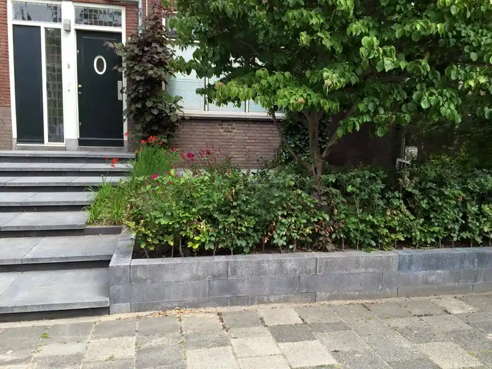 Verhoogde border van antracieten stapelblokken met een lage beukenhaag, siergrassen en oranje montbretia, langs de trap naar de voordeur
