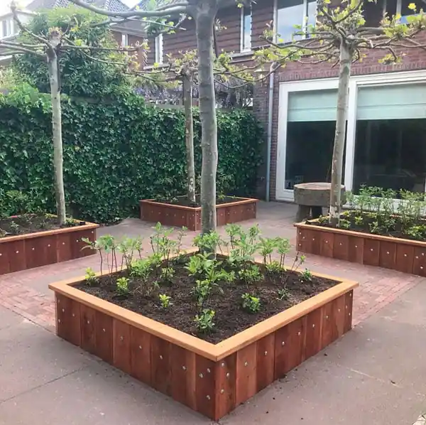Verhoogde plantenbakken van hardhout met zichtbare bouten, beplant met jonge vaste planten rond leibomen, op een bestrating van grote tegels en rode klinkers