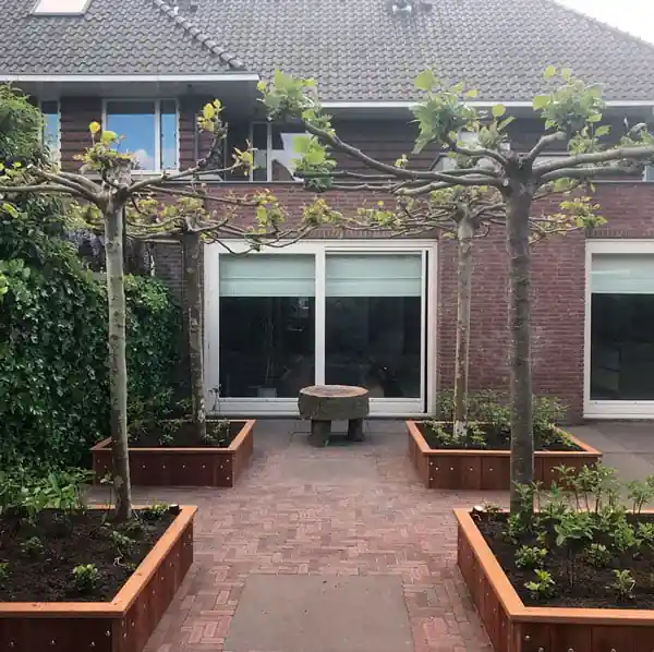 Pad van rode klinkers tussen vier hardhouten plantenbakken met leibomen, leidend naar een natuurstenen tafel voor de schuifpui van de woning
