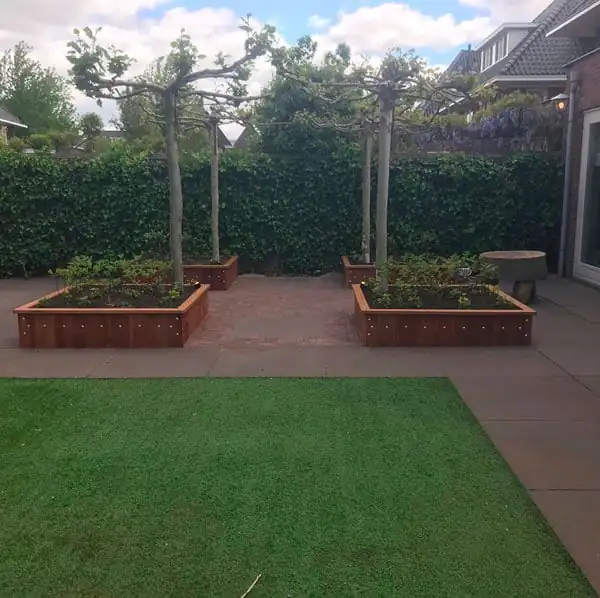 Twee hardhouten plantenbakken met leibomen voor een dichte klimopwand, met een terras van grote tegels en een strak veld kunstgras op de voorgrond