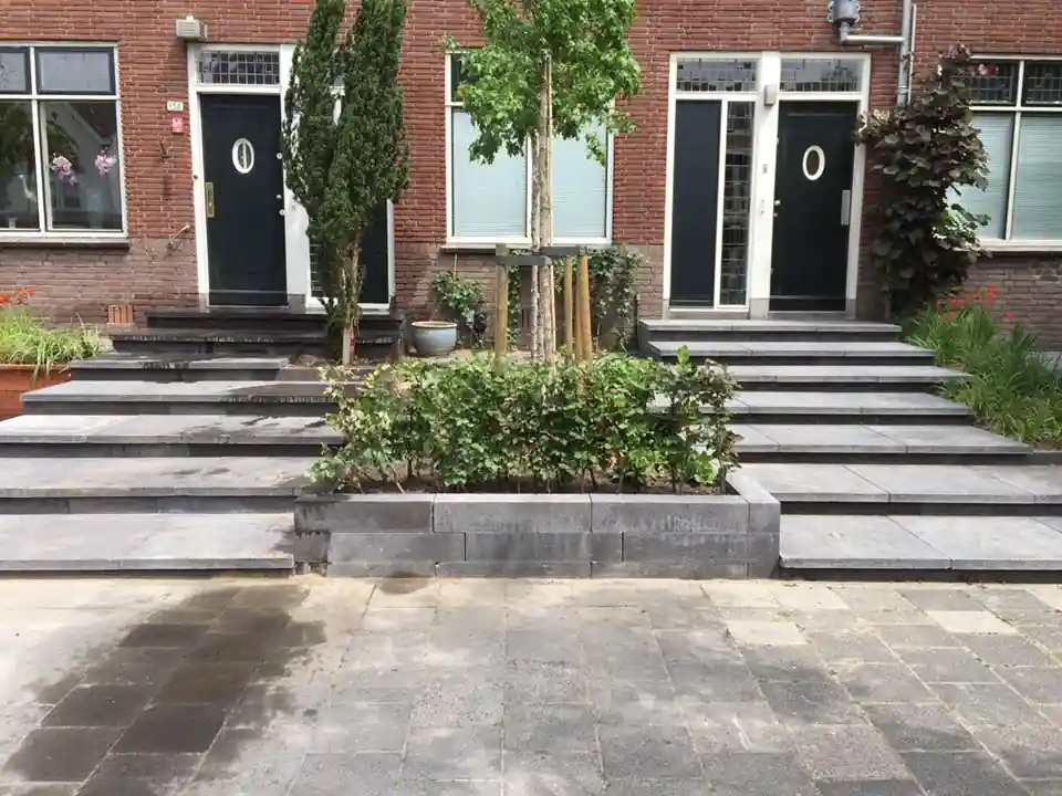 Twee trappen van antracieten traptreden naar twee voordeuren, gescheiden door een verhoogde border van stapelblokken met beukenhaag en een jonge boom