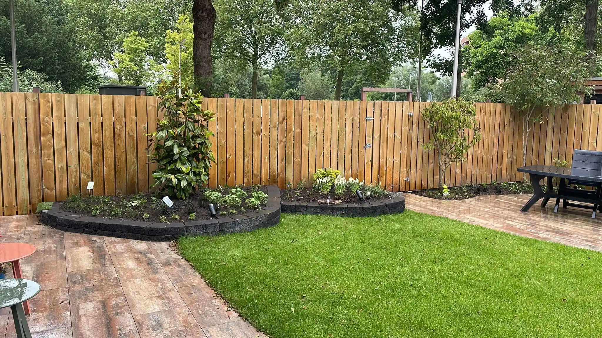 Twee gebogen verhoogde borders van lavablokken met verse beplanting en een jonge magnolia, rond een rechthoekig gazon met een terras van houtlook tegels