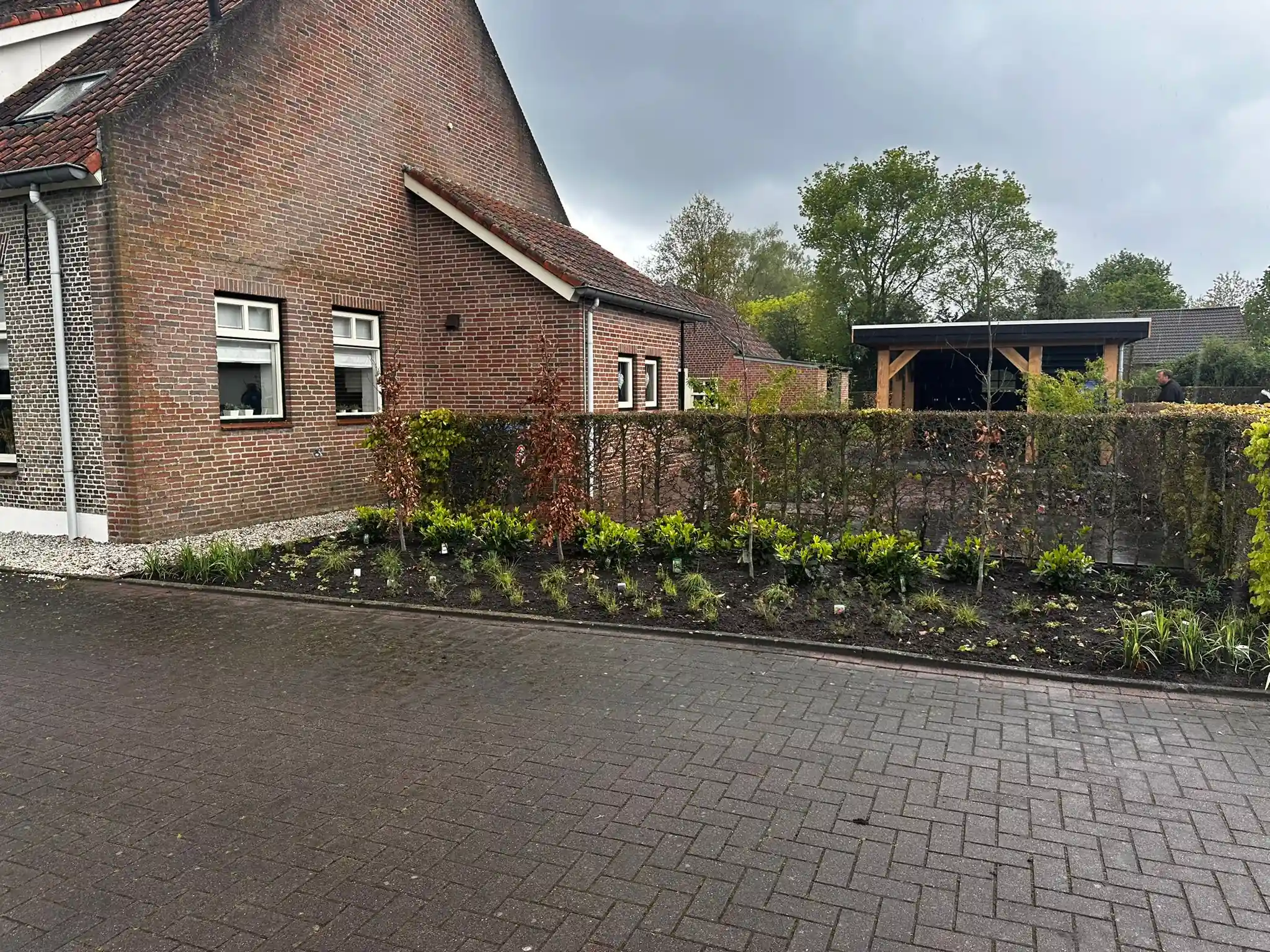 Langgerekte border met jonge beplanting en een beukenhaag langs de zijgevel van een oude boerderij, grenzend aan een ruim bestraat erf