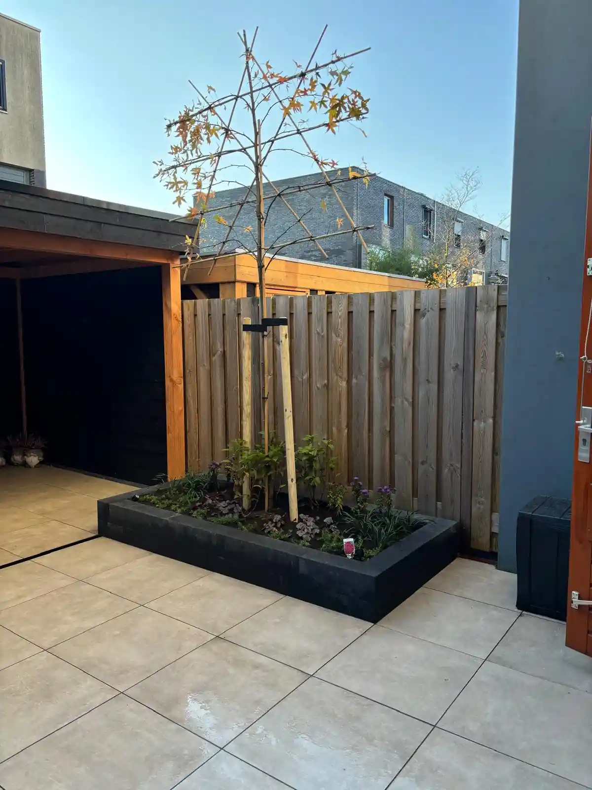 Verhoogde border van zwarte stapelblokken met een jonge amberboom op boompalen, lavendel en heuchera, langs een terras van lichte tegels bij de overkapping