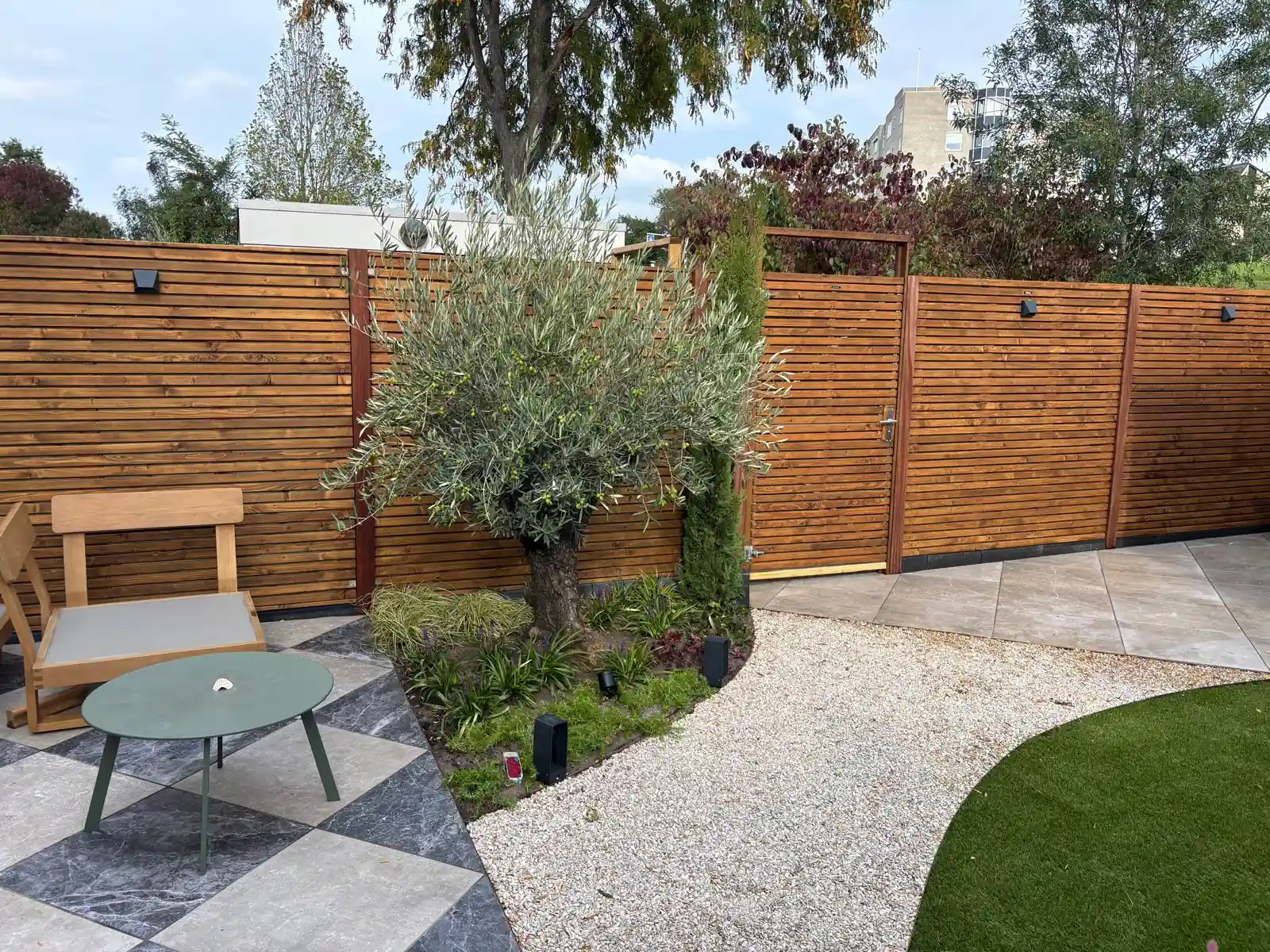 Olijfboom in een border met siergrassen en salie voor een hardhouten lattenschutting met poort, met wandlampen en een pad van licht grind