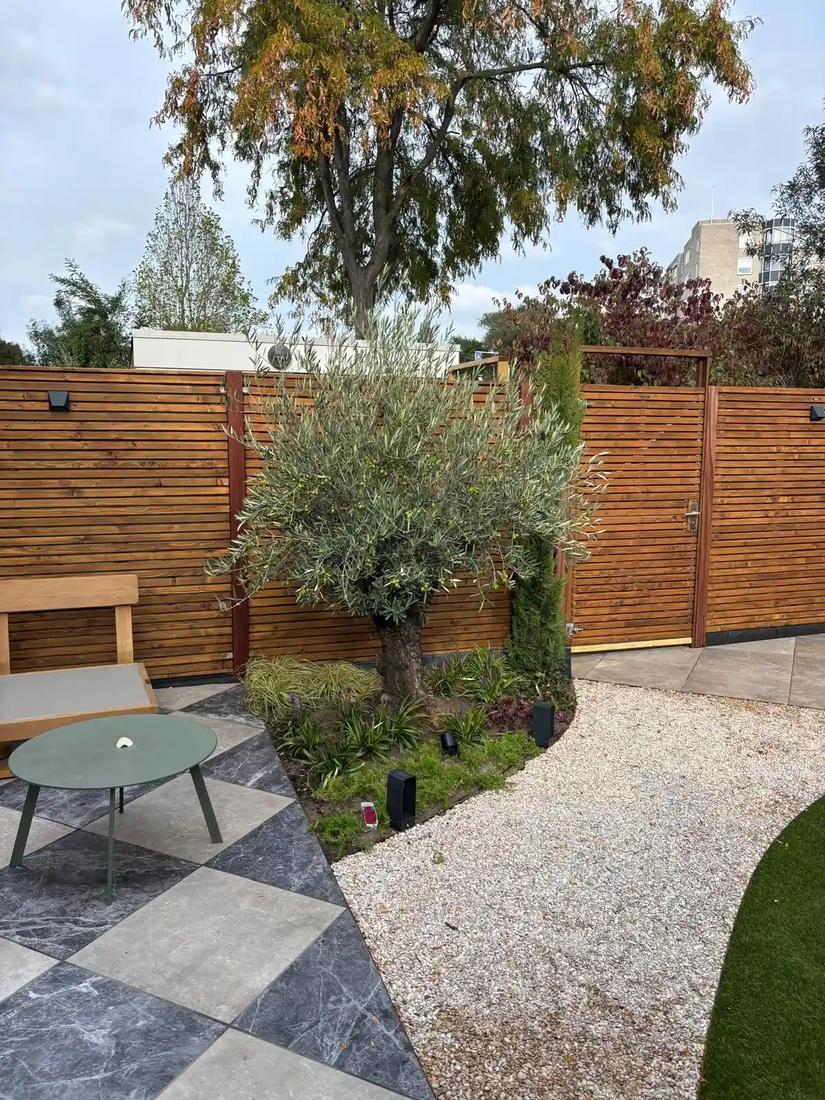 Olijfboom met onderbeplanting van siergrassen, salie en heuchera, met grondspots, een grindpad en een terras in dambordpatroon