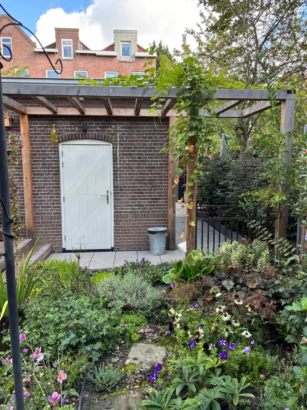 Houten pergola langs een bakstenen berging met witte deur, begroeid met een druivenrank, met daarvoor een weelderige border met zonnehoed en ooievaarsbek