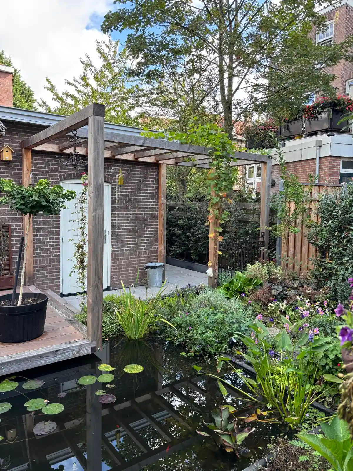 Houten vlonder met een leiboom in pot langs een vijver met waterlelies, met een pergola voor de bakstenen berging en borders vol vaste planten