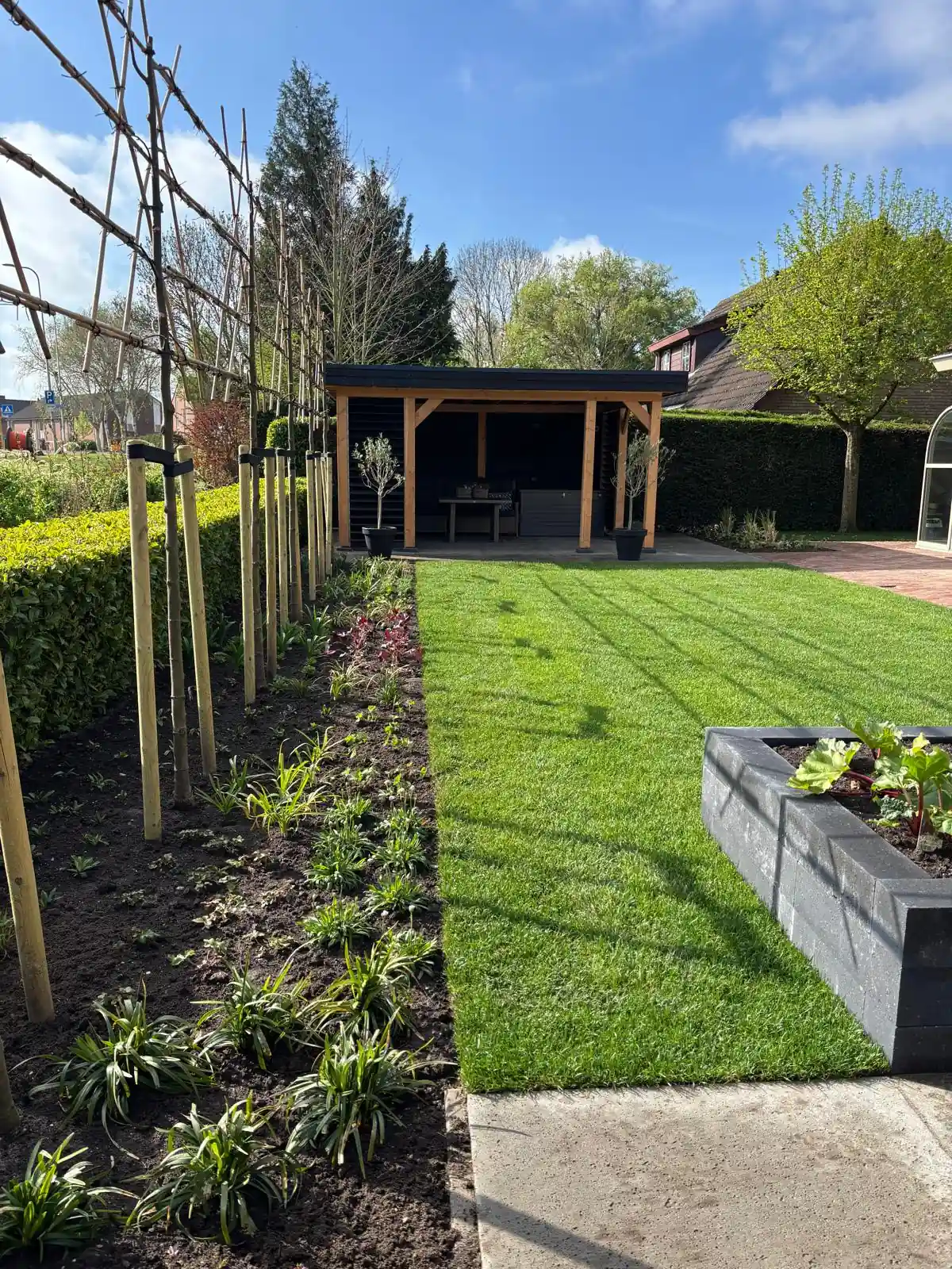 Strak gazon tussen een border met jonge leibomen op bamboe rekken en een verhoogde moestuinbak van antracieten stapelblokken met rabarber, met de overkapping erachter
