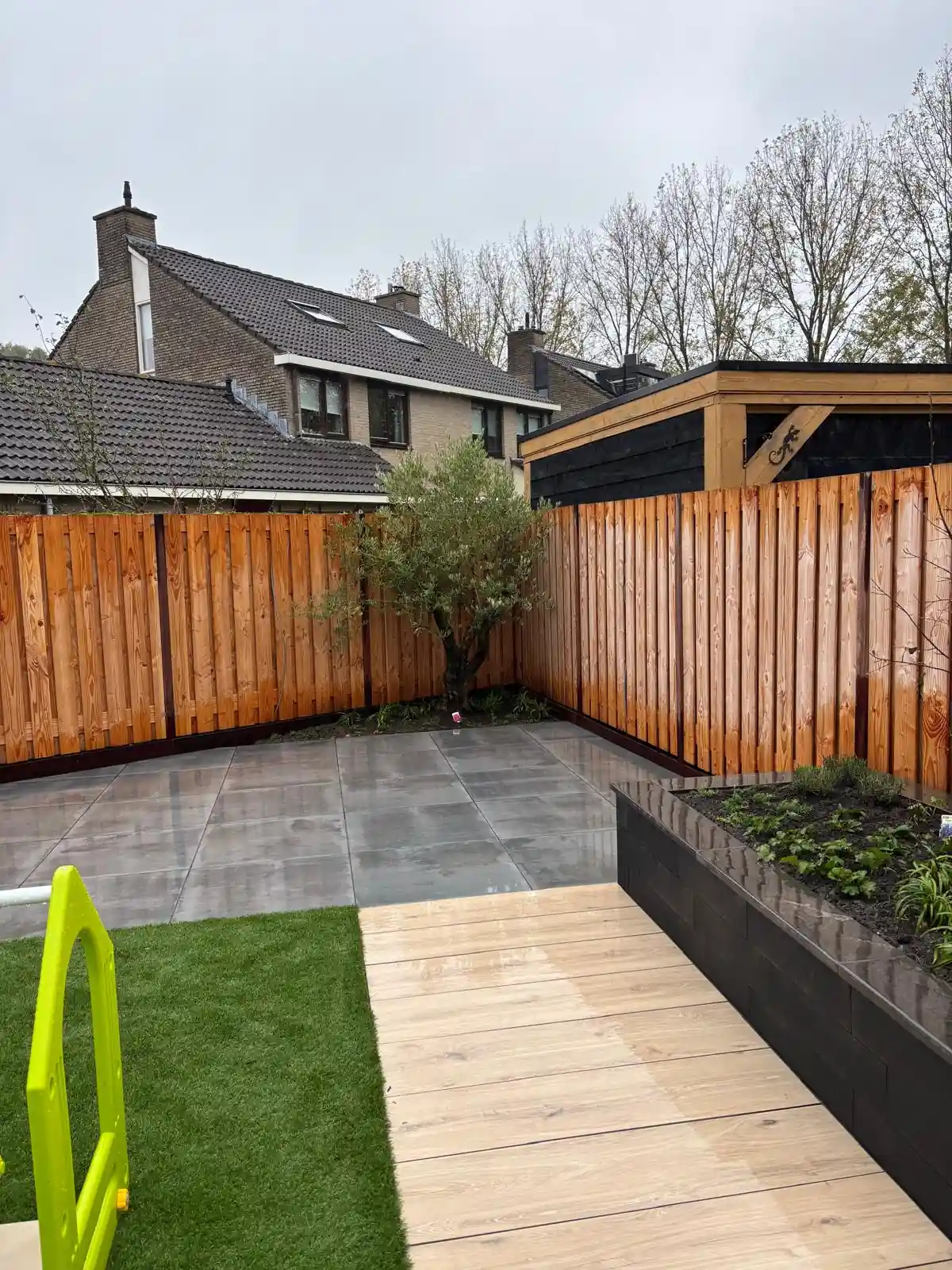 Olijfboom in een smalle border in de hoek van het tegelterras, met een pad van houtlook tegels, een verhoogde border en de overkapping op de achtergrond