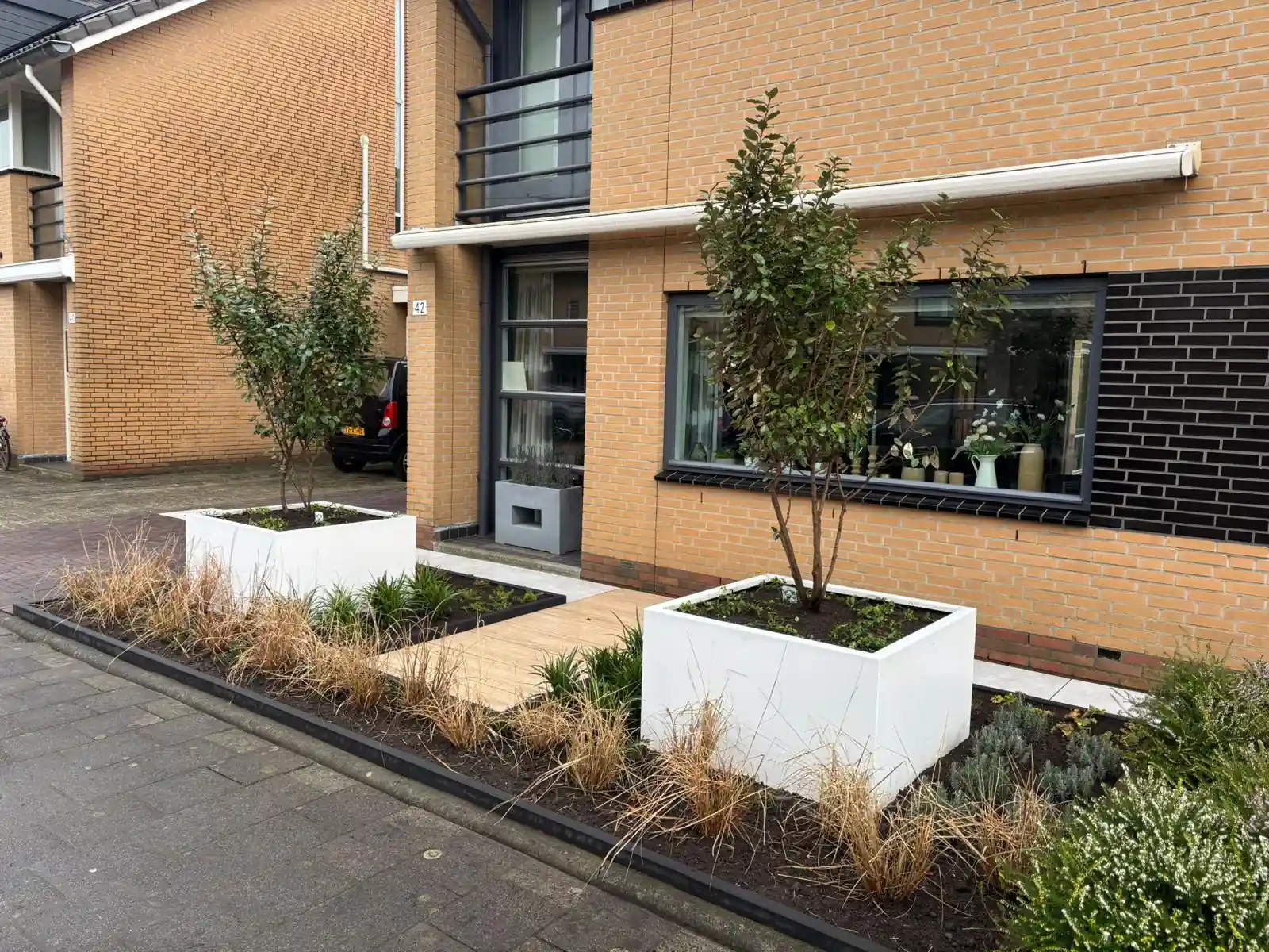 Twee witte plantenbakken met meerstammige heesters in een border met siergrassen en lavendel, langs een pad van lichte planktegels naar de voordeur