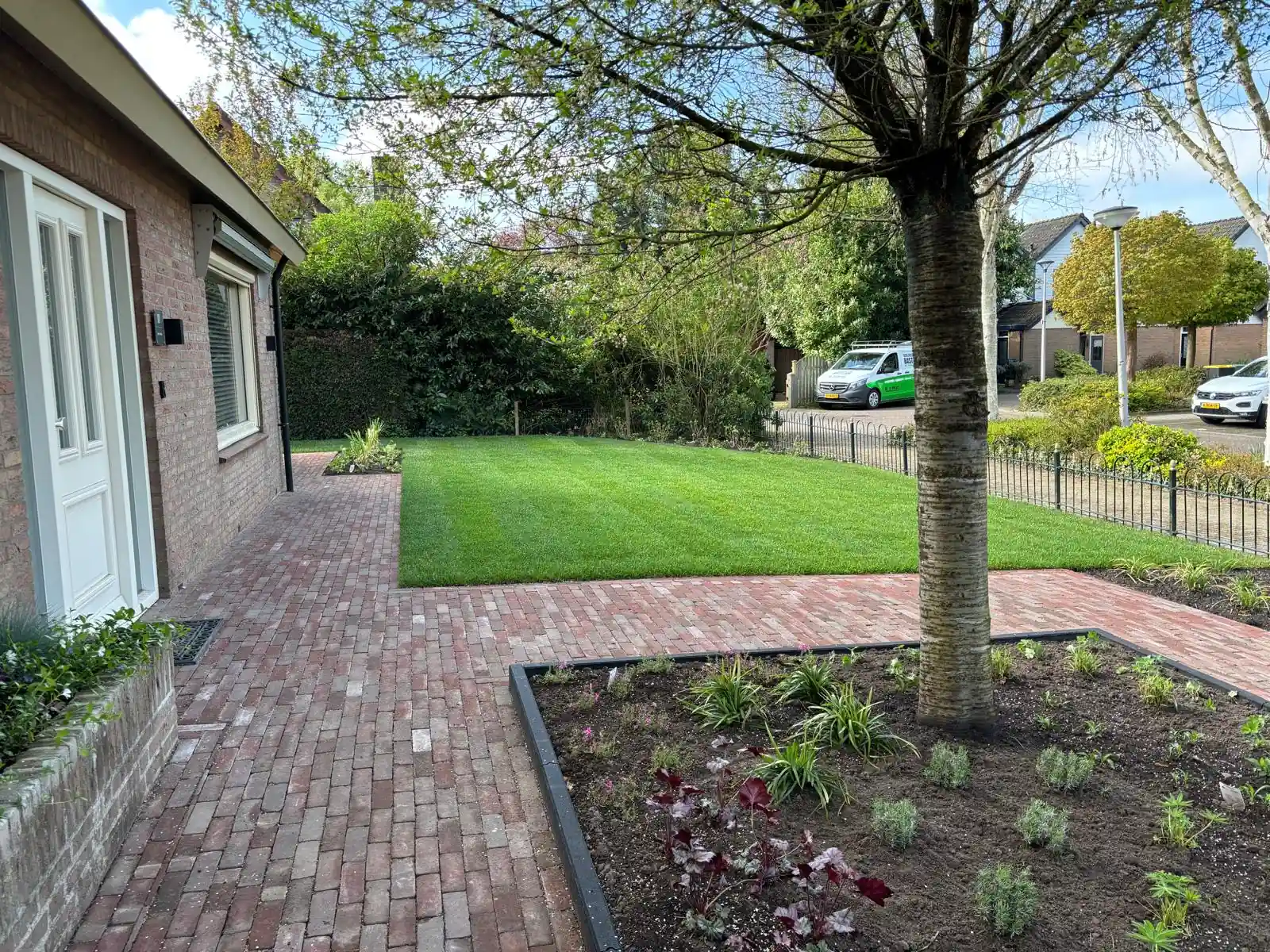 Verse border met heuchera, siergrassen en lavendel rond een bestaande sierboom, met een klinkerpad naar de voordeur en een gazon langs het sierhek