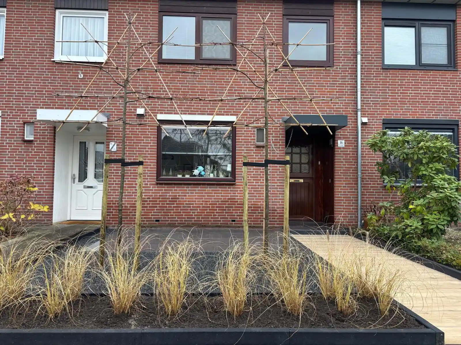 Twee jonge leibomen op bamboe leirekken tegen de rode bakstenen gevel, met een border vol siergrassen en een vak zwart split langs het tegelpad